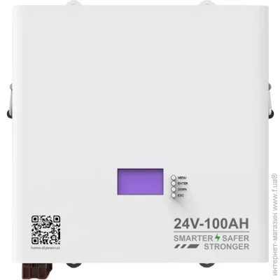    LiFePO4 24V (25.6V/100Ah/2560Wh) (DDBGSG24100)