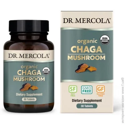     Dr. Mercola Organic Chaga Mushroom, 30 