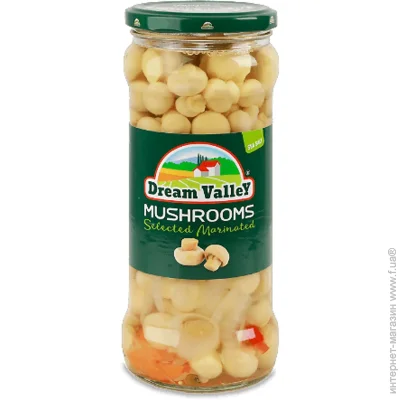   Dream Valley     580 