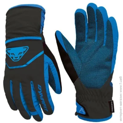 Dynafit Mercury DST Gloves (016.002.2578)