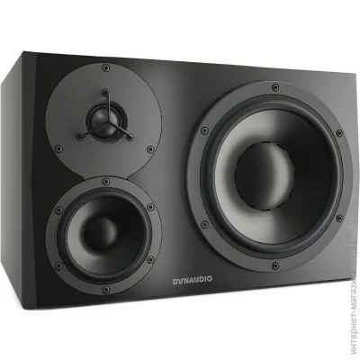 Dynaudio   LYD 48 Left (1 .)
