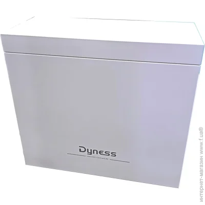 Dyness 2xB4850 (B4850_2in1Box)