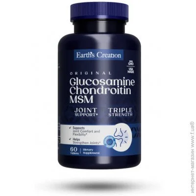        Earths Creation Glucosamine Chondroitin MSM, 60 