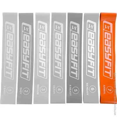  Easyfit    7