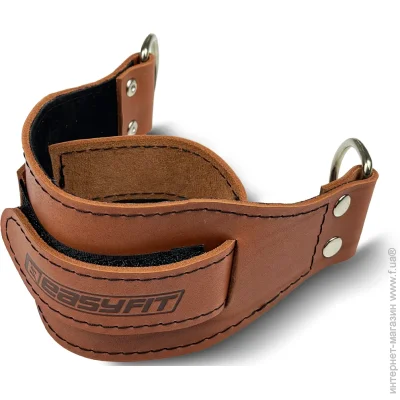 Easyfit  F9      ()