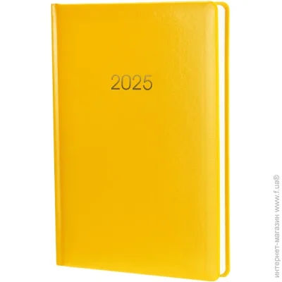 Economix   Spectrum  A5 2024
