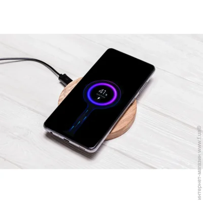            EcoWalnut     "iCharge" (0157)