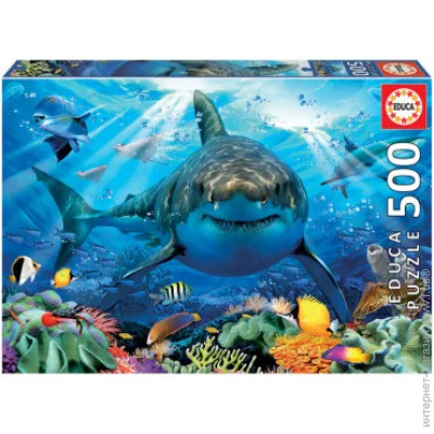   Educa  Educa    500  (6425281)