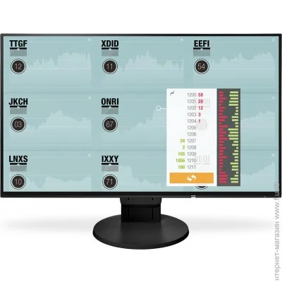  Eizo 23.8 " 61  EV2451-BK