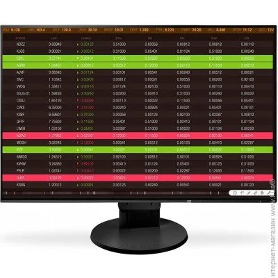  Eizo 24.1 " 60  EV2456-BK