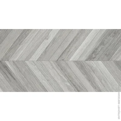 El Molino  Icaro gris 62x120 