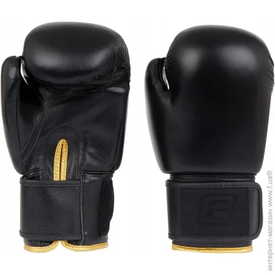Energetics   LEATHER 225543 . 8 