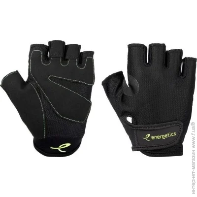 Energetics    MFG150 . L 