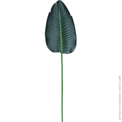   Engard   Banana Tree 63  TW-51