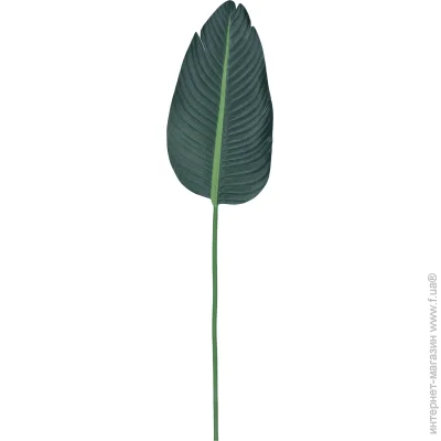   Engard ó  Banana Tree 92  TW-52