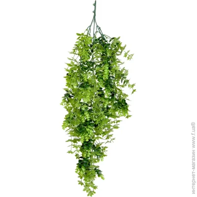   Engard "Eucalyptus", 65 c (AV-03)