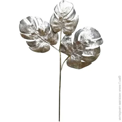 ó  Engard Monstera, , 65  (TW-21)