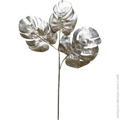   Engard   Monstera   65  65,  (TW-21)