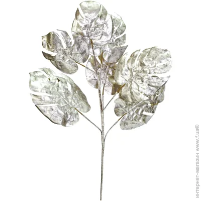   Engard   Monstera  76  TW-23