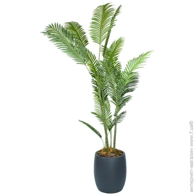   Palm Tree, 182    (TW-2909-1)