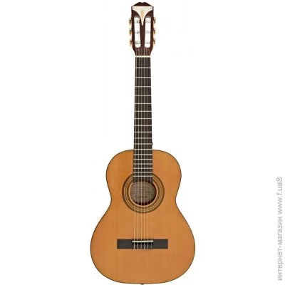   Epiphone Pro-1 Classic 3/4