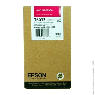  Epson T6033