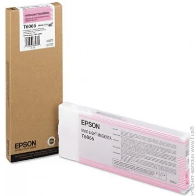  Epson T6066
