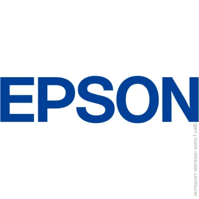 Epson Maintenance Liquid T54LB00 (C13T54LB00)