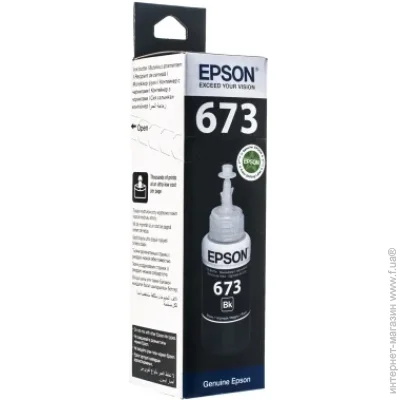  Epson T6731