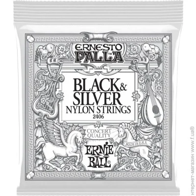   Ernie Ball P02406