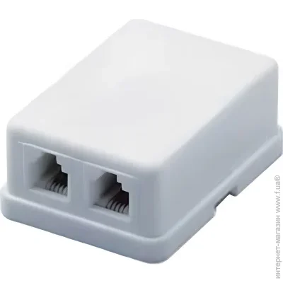   ESERVER 2xRJ12  (WT-6010)