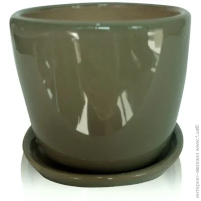 Eterna    0,25    (801-8)