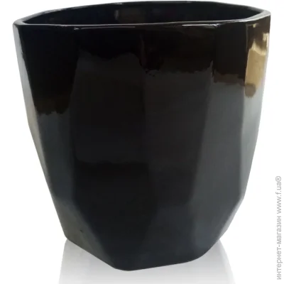 Eterna    1,5  [019] Black (205-16 )