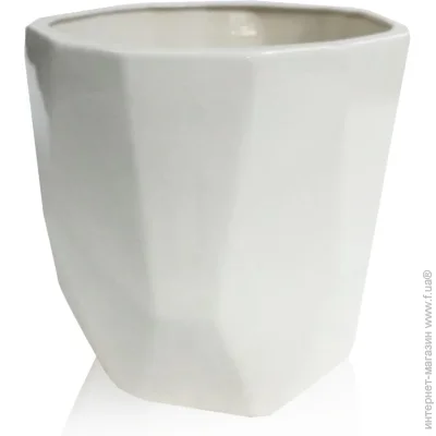 Eterna    1,5  (205-16 )