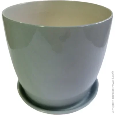 Eterna    3  - (802-16  )