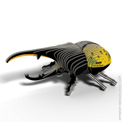  3D,  Eugy : - (XEG-112)