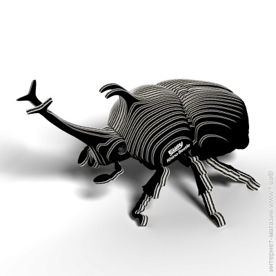  3D,  Eugy : - (XEG-113)