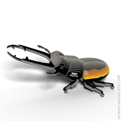  3D,  Eugy : - (XEG-114)