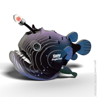  3D,  Eugy :    () (XEG-116)