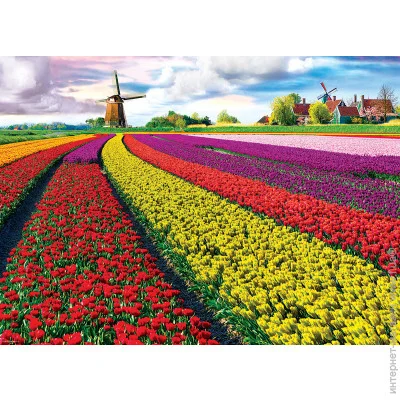   Eurographics     (6000-5326)