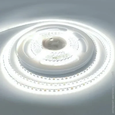 LED  Eurolamp   16  IP20 24   LED/ROLL-5m/6200K(120)