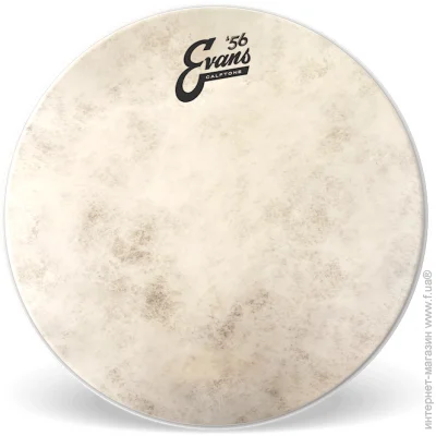       / Evans TT12C7 12" Calftone