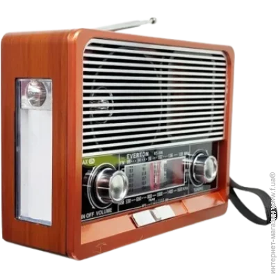 Everton    RT-306 FM/AM/SW/Bluetooth/USB   (1756375712)