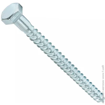 - Expert Fix      10,0*120, DIN 571, 6 .,  ( 646) 10x120  