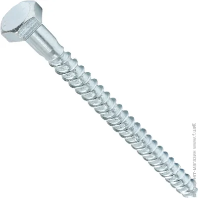 - Expert Fix      10x80  