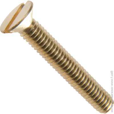 Expert Fix     310  DIN 963 20 . (22330010)