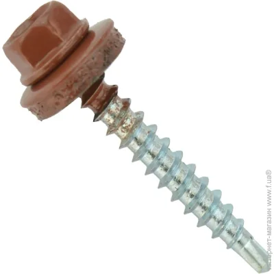 Expert Fix     4,8x55     RAL 3009