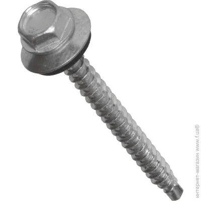 Expert Fix     4,8x55    RAL Zn