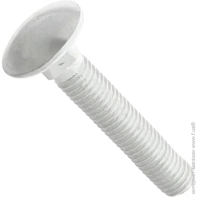 Expert Fix    DIN 603 8x45     4,6