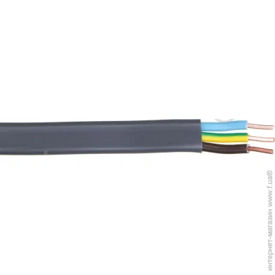 Expert Power    - 31,0 